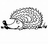 Hedgehog Coloring Pluspng Cartoon Para Pintar Colorear Dibujos Clipart Coloringcrew Erizos Transparent sketch template