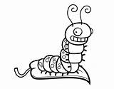 Gusano Colorear Gusanos Gracioso Buffo Lagarto Disegno Desenho Worms Insectos Graciosos Acolore Worm Insetti sketch template