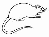 Rat Coloring Pages Drawing Kids Printable Cute Results Clipartmag sketch template