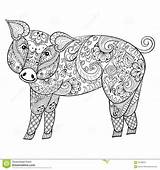 Coloring Pages Pattern Pig Animals Colouring Stress sketch template