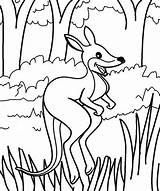 Coloring Kangaroo Jumping Pages Ones Fun Cute Little sketch template