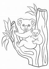 Koala Coloring Pages Cute Baby Mother Stock Koalas Little Her Printable Illustration Getcolorings Color Getdrawings sketch template