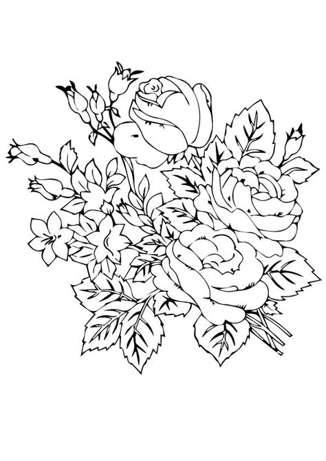 beautiful rose flower coloring pages   adult printable