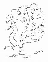 Peacock Coloring Pages Easy Kids sketch template