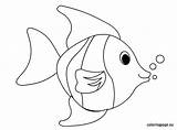Fish Coloring Tropical Template Baby Pages Printable Color Maybe Templates Print Para Quilted Toy Use Choose Board Felt Peixe Infantil sketch template