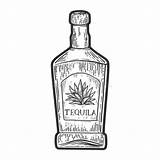 Tequila Alcohol sketch template