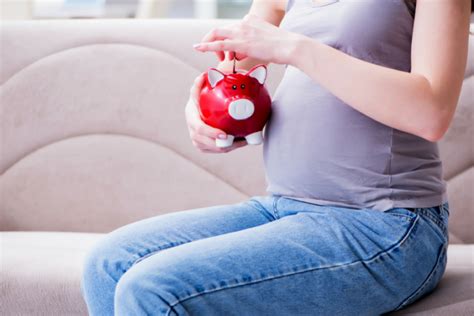 guide to government entitlements in pregnancy and after