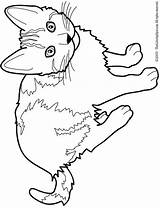 Siamese Warrior Getdrawings Cica Kifesto Dog Books Katten Getcolorings Colorings Clipartmag sketch template
