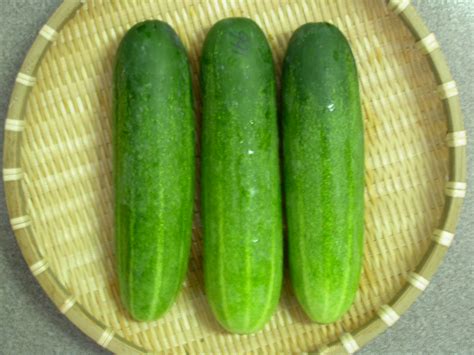 hidden benefits  cucumber health  beauty information