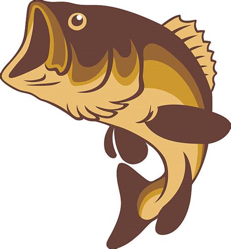 Striped Bass Clip Art Vector Images And Illustrations Istock