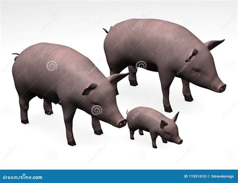 pig family stock photo image