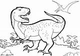 Trex Rex Tyrannosaurus Tarbosaurus Theropod Dinosaurs sketch template