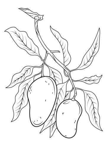 mango branch coloring page  printable coloring pages coloring