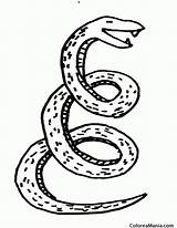 Culebra Serpiente Snake Reptiles Votos sketch template