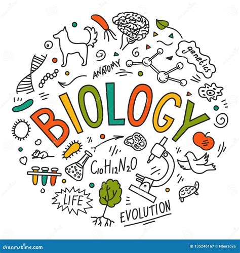 biology hand drawn doodles  lettering stock vector illustration