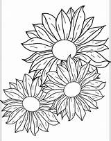 Fleurs Marguerites Artherapie Sunflower Drawing Colorier Drawings Plantes Noir sketch template