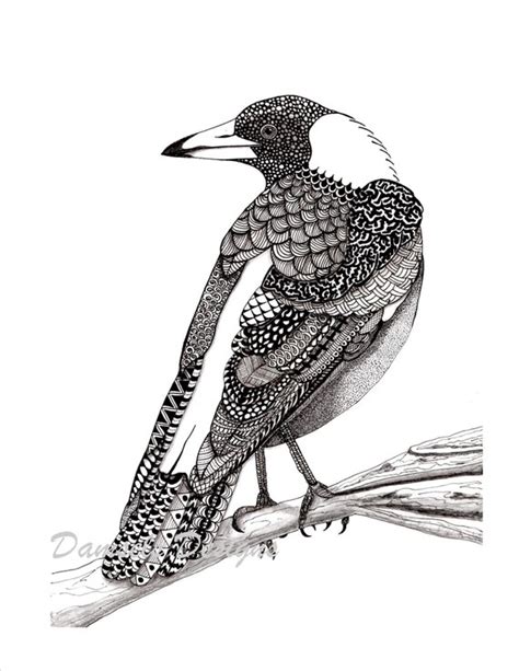 Australian Magpie Pattern Art Drawing