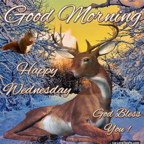 good morning happy wednesday god bless   pictures