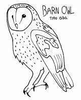 Owl Barn Outline Colouring Coloring Deviantart Drawing Realistic Pages Color Getdrawings Clipartix Print Printable Getcolorings Stay sketch template