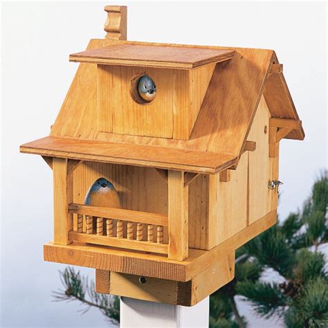 build  backyard birdhouse diy family handyman
