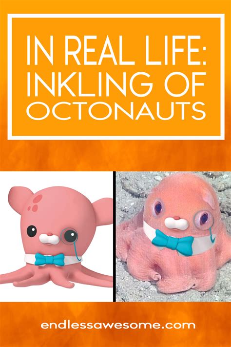real life professor inkling  octonauts endless awesome