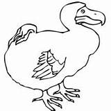 Coloring Dodo Bird Pages Netart sketch template
