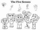 Senses Five Coloring Pages Worksheets Kindergarten Preschool Kids Color Worksheet Activities Choose Board Teaching sketch template