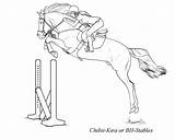 Jumping Pferde Draw Rider Ego Galidor Form Caballos Elements Billed Lineart Equestrian Milchprodukte Bleistift Bleistiftzeichnungen Skizze Rachaelm5 Royale sketch template