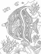 Pages Coloring Zentangle Fish Adults Adult Bright Teens Colors Favorite Color Choose sketch template