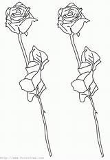 Roses Outline Coloring Pages Katieyunholmes Plants sketch template