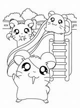 Hamster Ausmalbilder Ausdrucken Malvorlagen sketch template