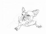 Bulldog French Drawing Line Dog Digital Drawings Print Getdrawings A4 Available sketch template