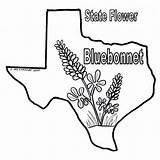 Bluebonnet Texasbob sketch template