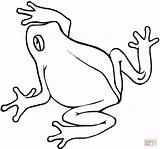 Rana Colorare Frosch Disegni Dibujos Ausmalbild Bambini Anfibi Rane Frogs Jumping Supercoloring Simples Clipartmag Rospo Kategorien Colorear Disegnidacolorare sketch template