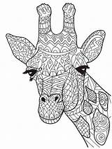 Giraffe Zentangle Mycoloring sketch template