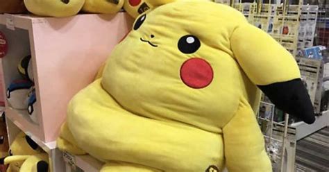 Pikachu After Retiring From Battles Album On Imgur