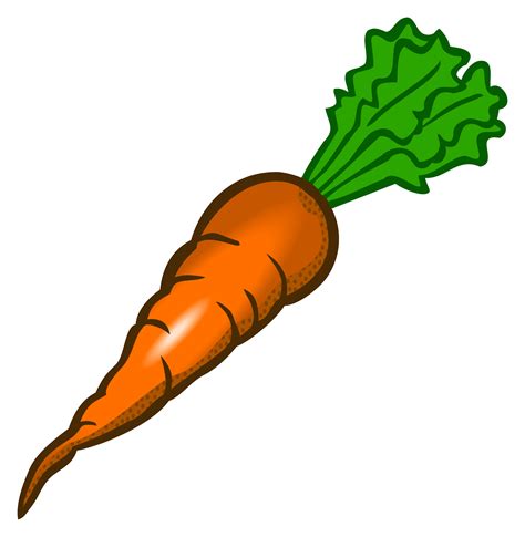 carrot clip art   carrot png images