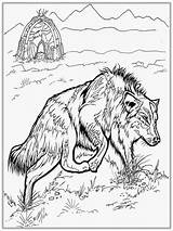 Coloring Wolf Pages Adult Mandala Realistic Printable Adults Print Detailed Head Color Halloween Getcolorings Book Everfreecoloring Animals Getdrawings Colorings Visit sketch template