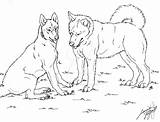 Husky Huskies Siberian Lineart Kolorowanki Colorear Canis Simensis Wonder Drukuj Pobierz sketch template