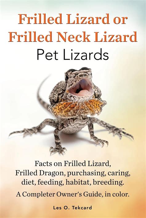 frilled lizard  frilled neck lizard pet lizards facts  frilled