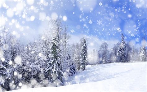 winter snow wallpapers pixelstalknet