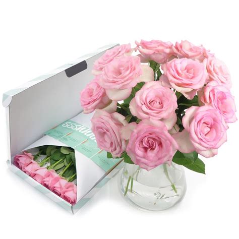 pink letterbox rosesthese pretty pink roses   happy    making happy