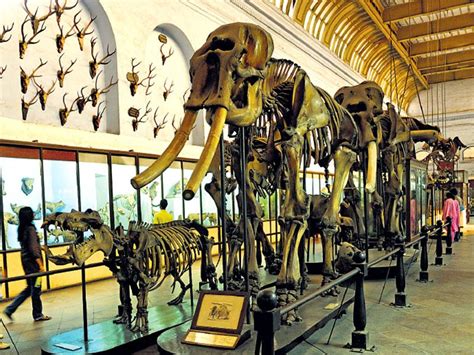 state of the art six must visit museums in india travel hindustan
