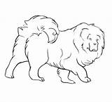 Tibetan Mastiff Lineart Deviantart sketch template