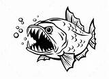 Pesce Arrabbiato Skeleton Isolated Piranha Peces sketch template
