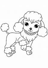 Chiens Bijoux Coloriages Chienne Princesse Enfant Jolis Canine Puppys Malvorlagen Template Worksheets Collier sketch template