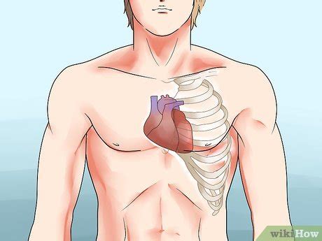 ways    apical pulse wikihow