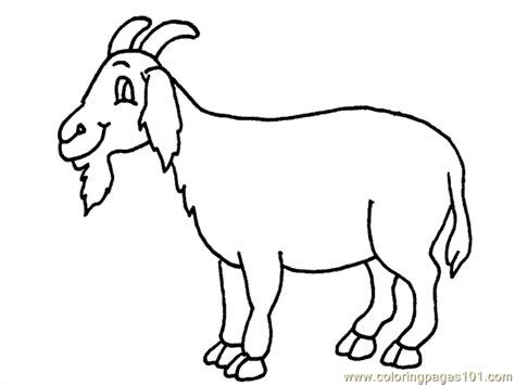 coloring pages goat coloring page  animals goat  printable coloring page