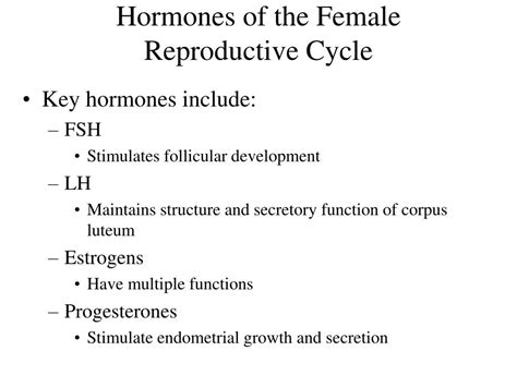 Ppt Female Reproductive System Powerpoint Presentation Free Download
