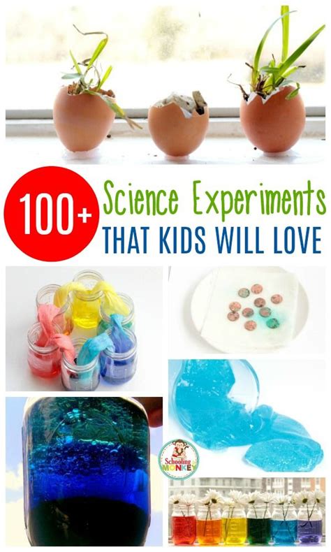 science experiments  kids   materials